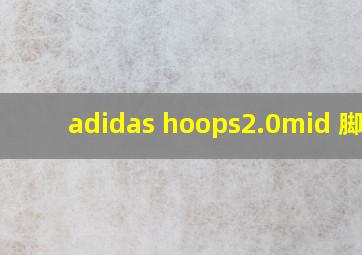 adidas hoops2.0mid 脚感